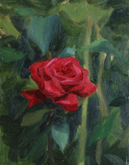 Giardino delle Rose