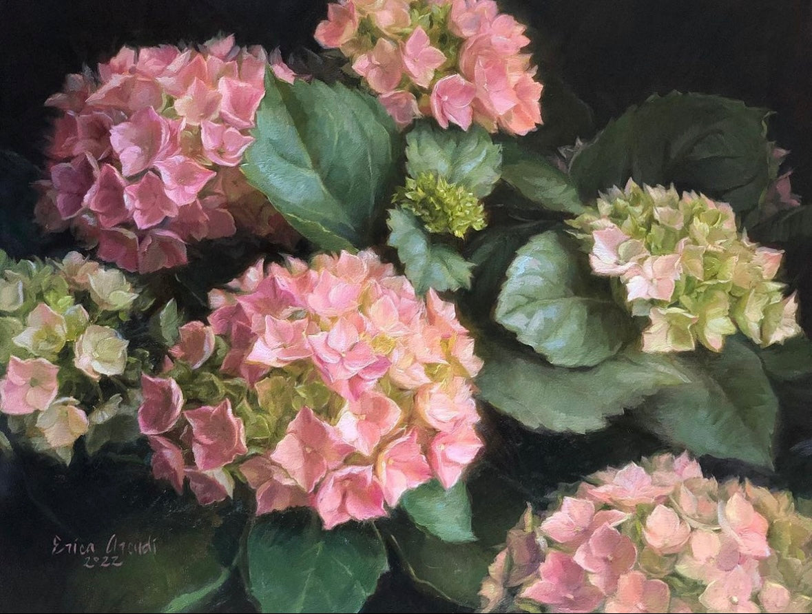 Hydrangeas