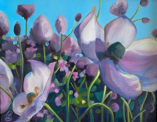 Windflower