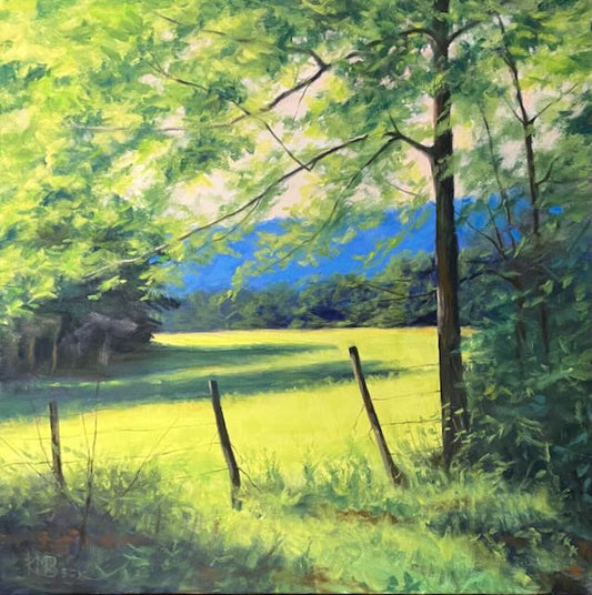 Old John's Meadow
