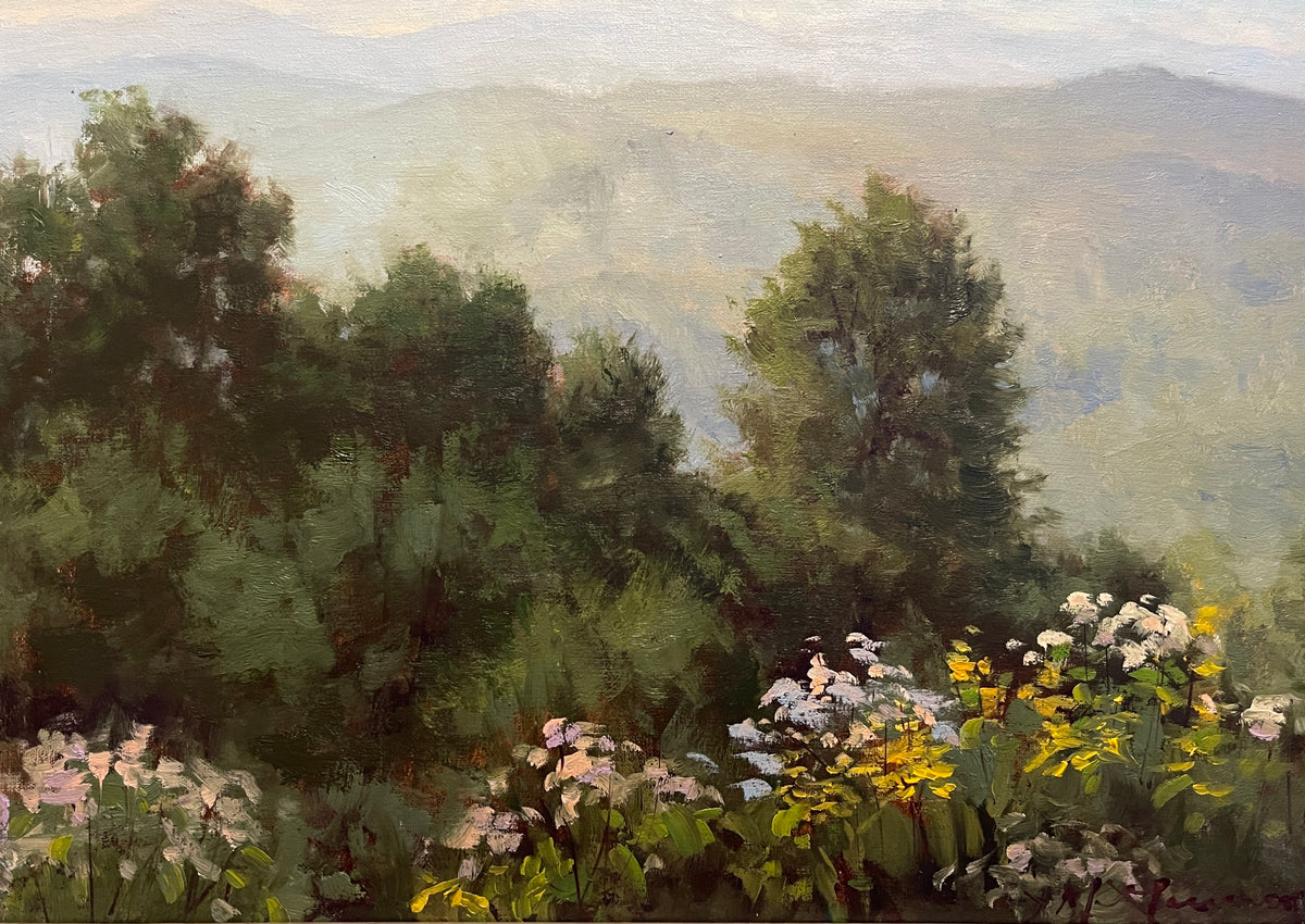 Valley & Hills
