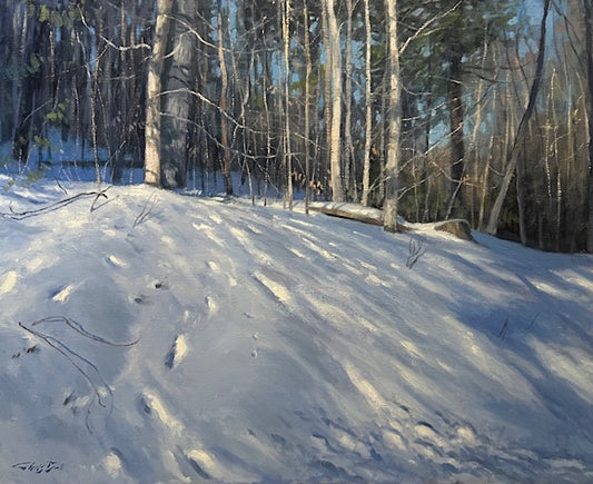Winter Traces