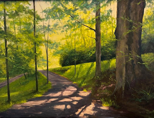 Shulls Mill Shadow