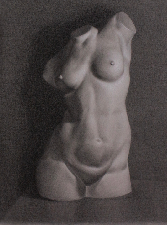 Study of a Female Torso Cast