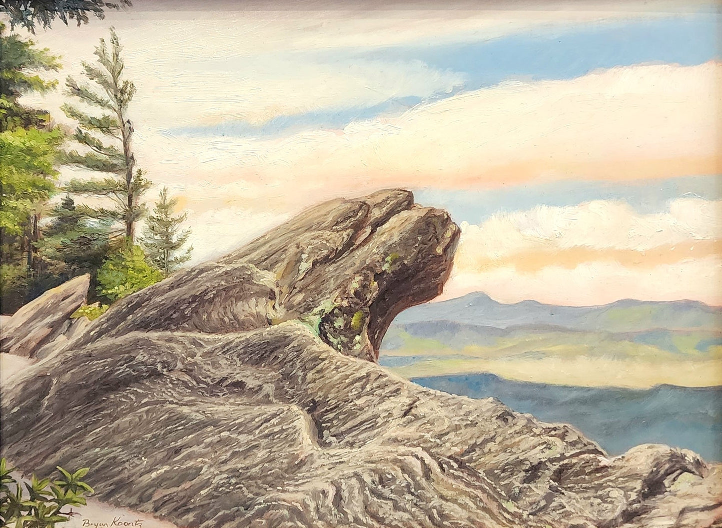 The Blowing Rock View
