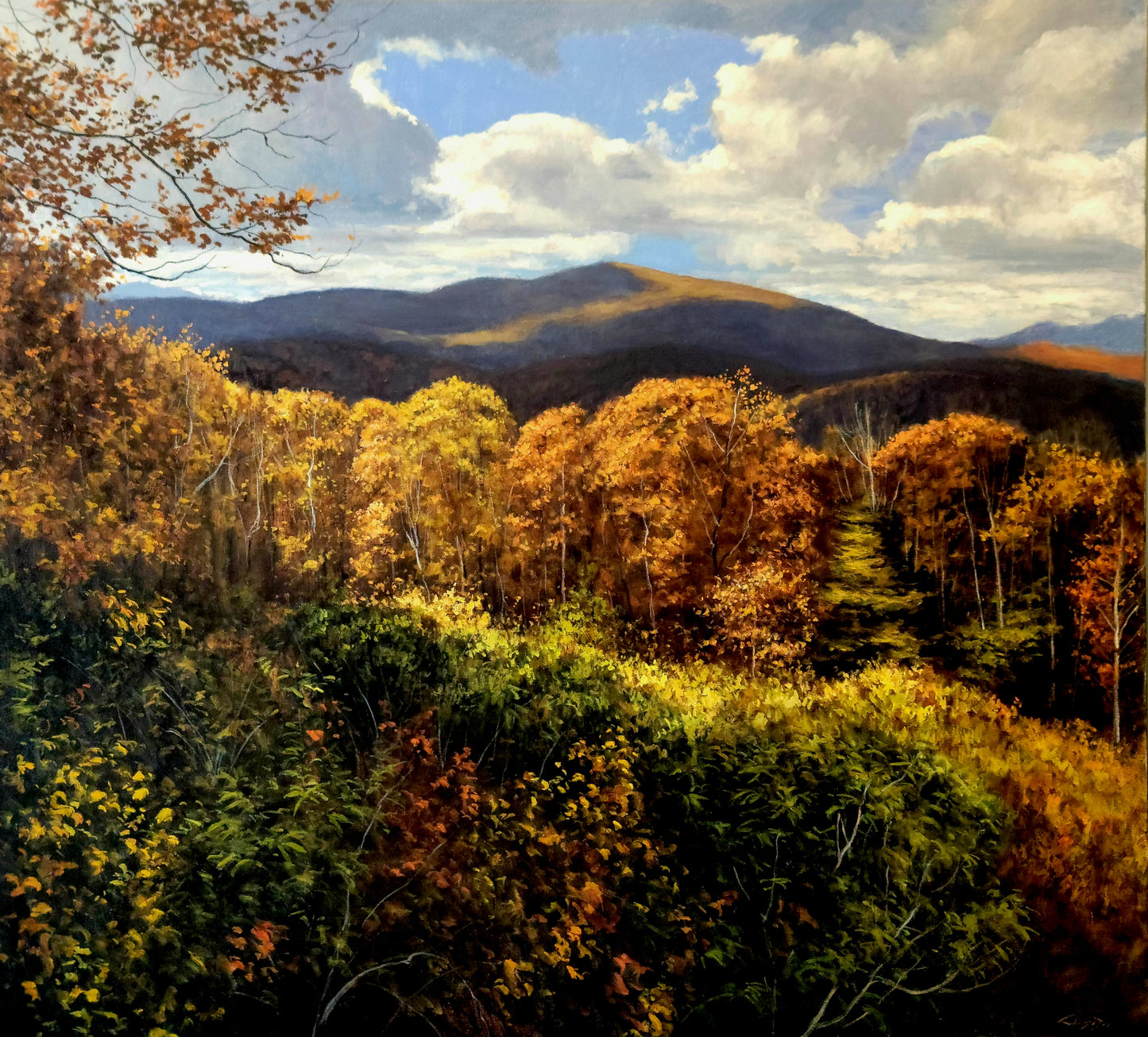 Autumn Along the Parkway