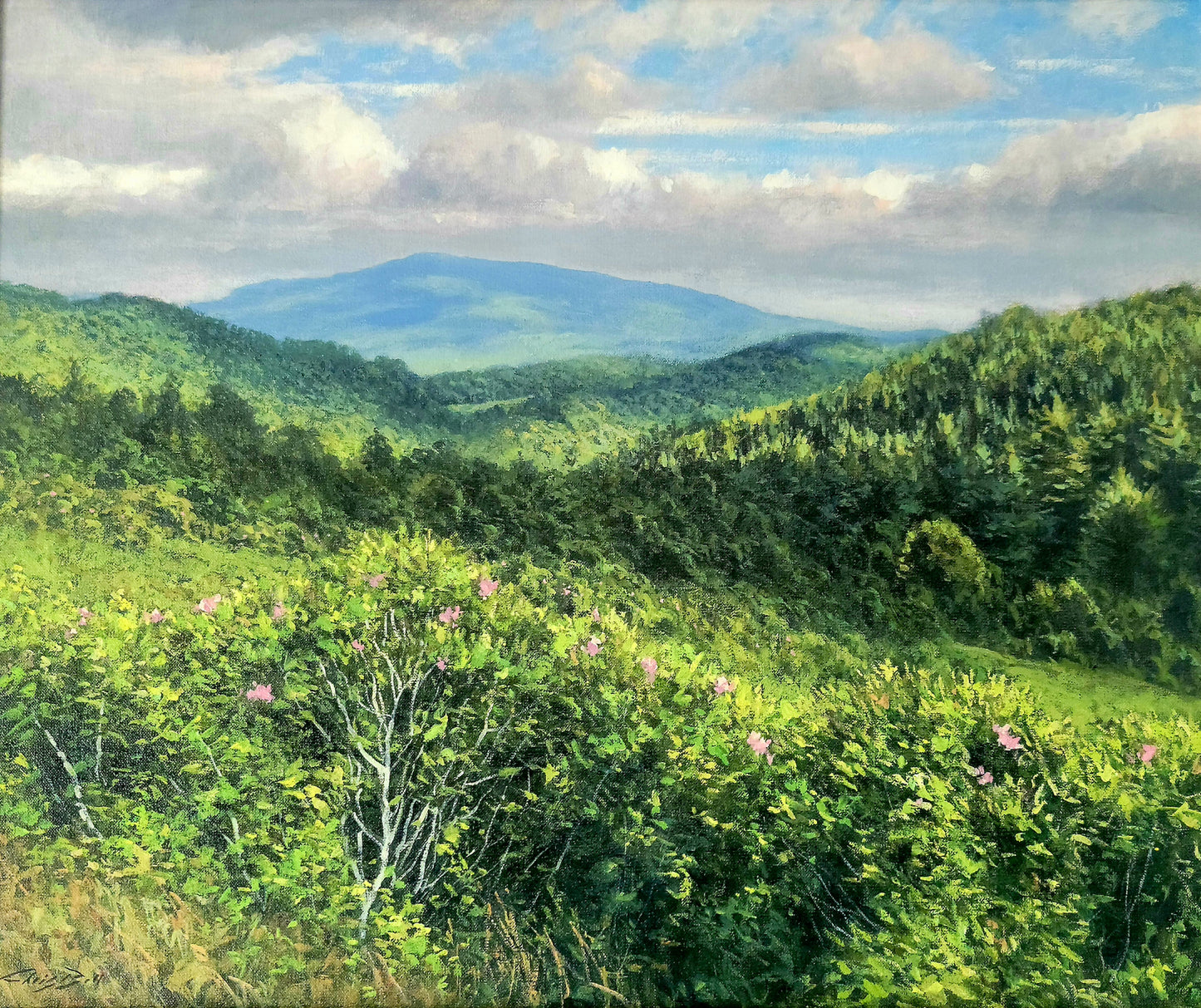 Blue Ridge Mountain Series