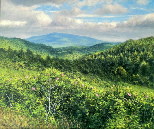 Blue Ridge Mountain Series