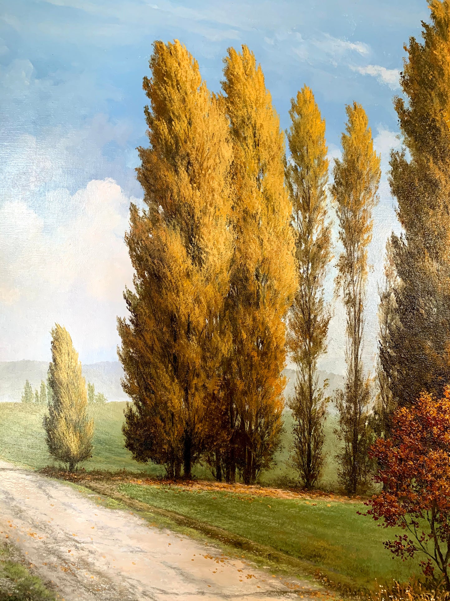 Autumn Breeze