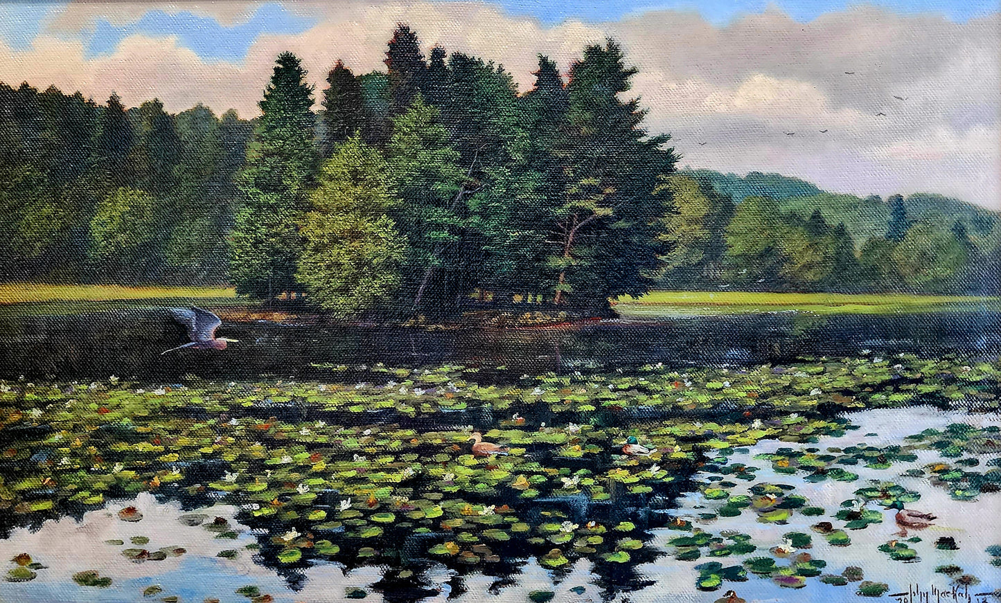 Bass Lake, Moses Cone Estate
