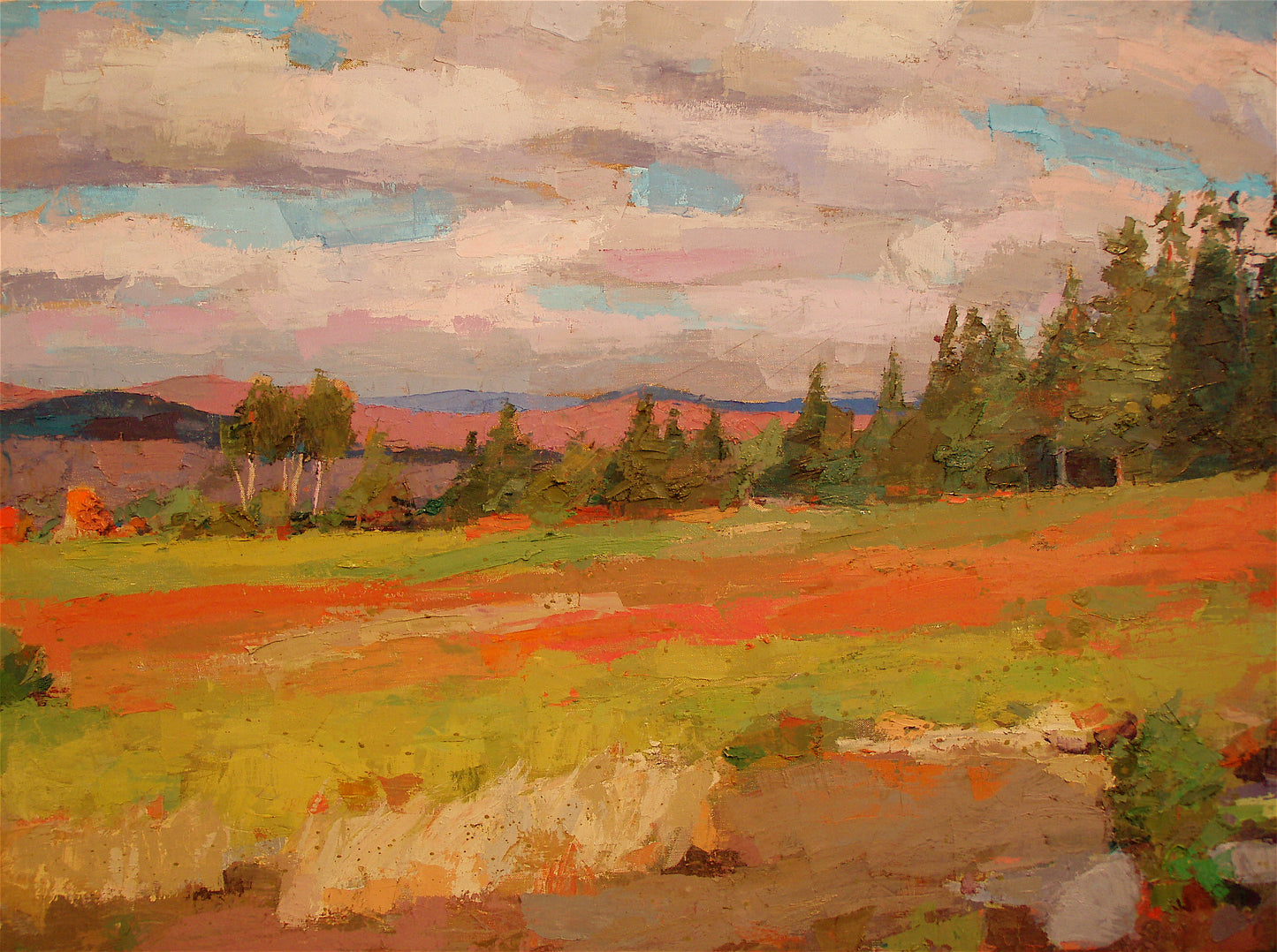 Uplands Field