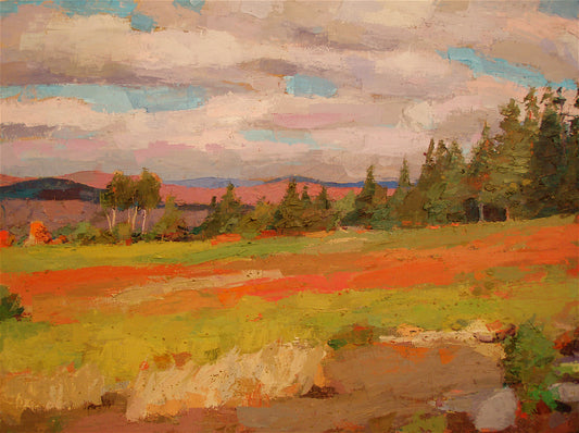 Uplands Field