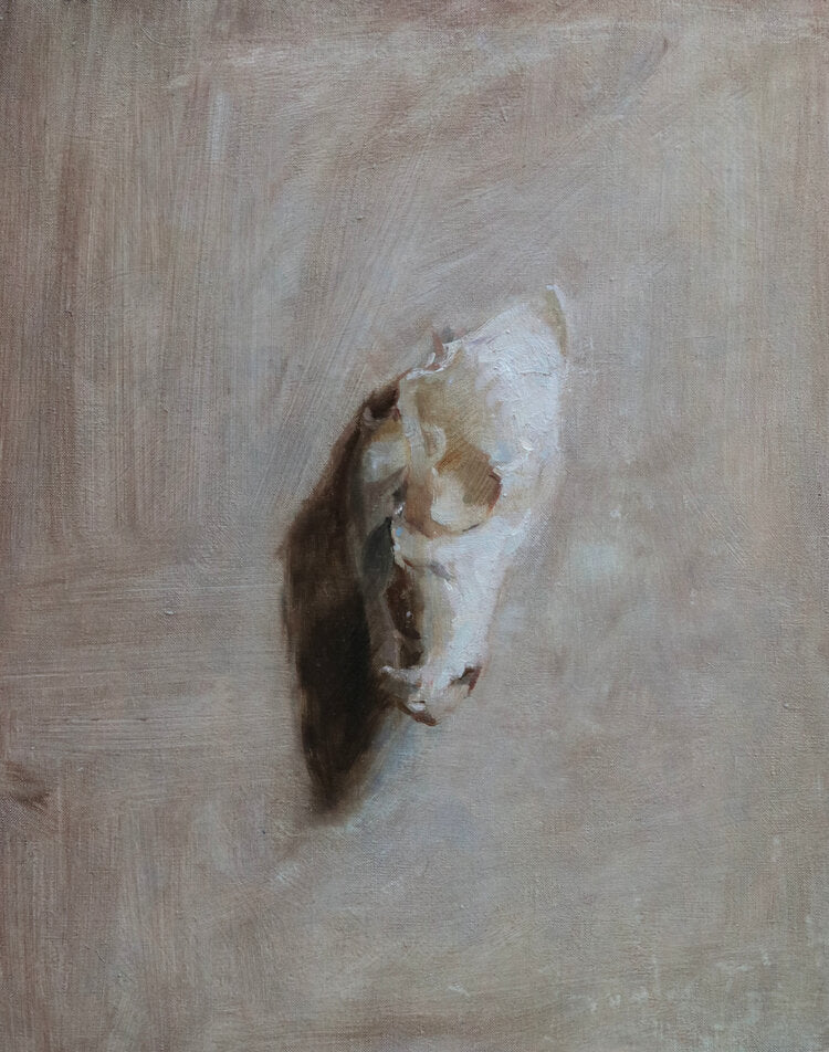 Skull Study