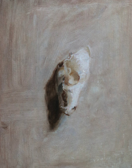 Skull Study