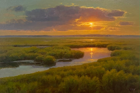 Salt Panne Sunset