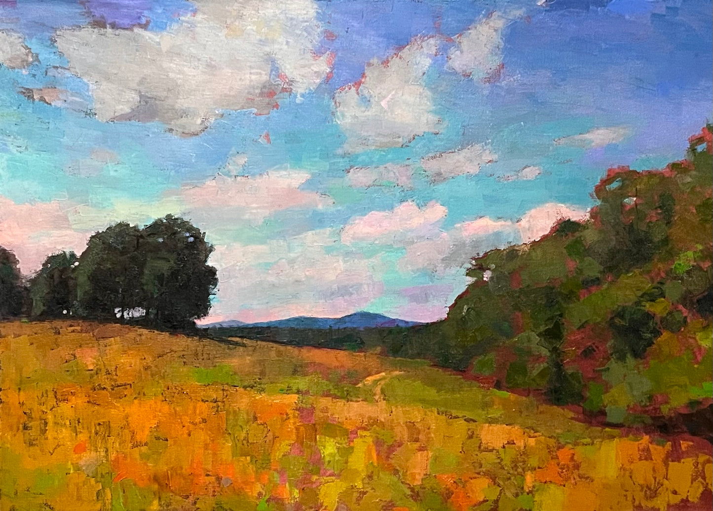 Carolina Hillside
