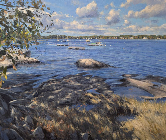 Along the Dappled Shore