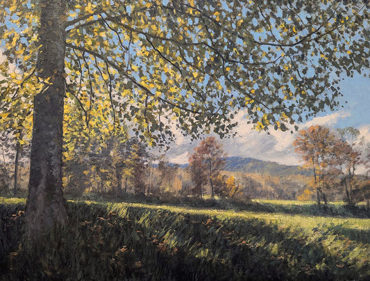 Pastoral Light