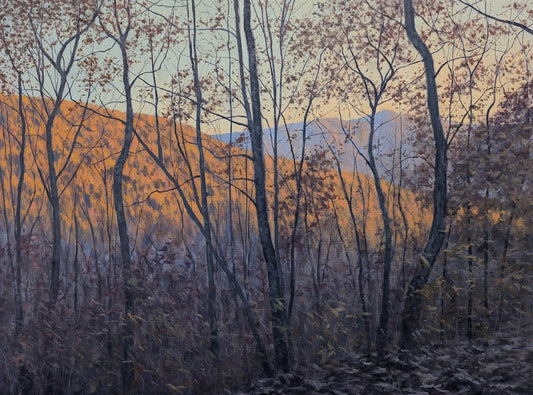 Through Autumns Veil
