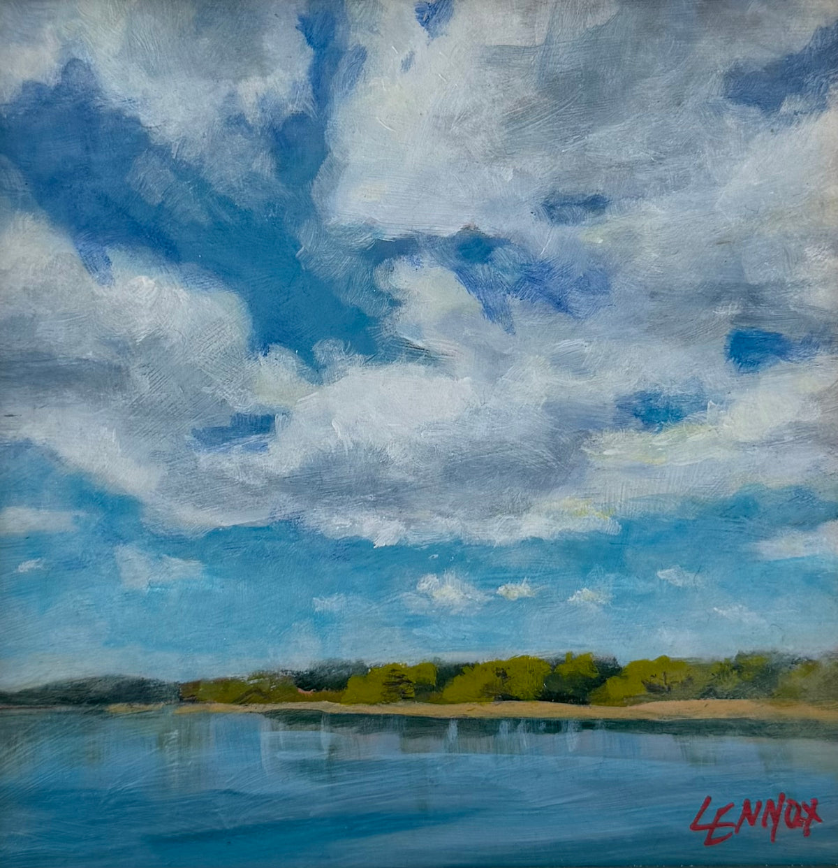 Cloud Puffs (Douglas Lake)