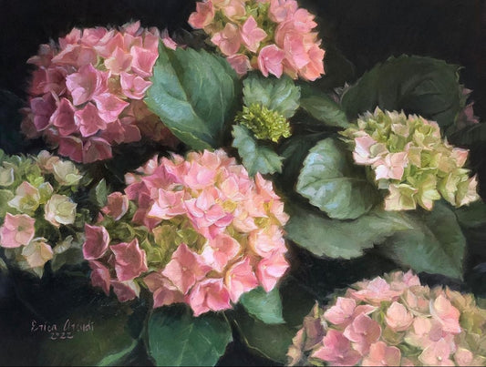 Hydrangeas