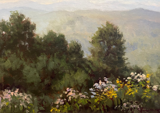 Valley & Hills