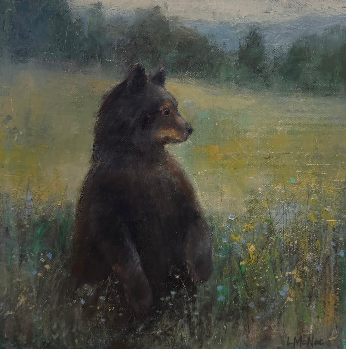 The Long Gaze