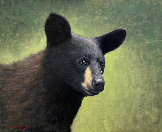 Bear Study No. 1