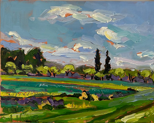 Provencal Cypress