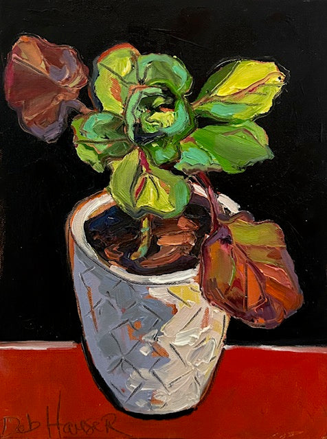 Baby Brussel I.