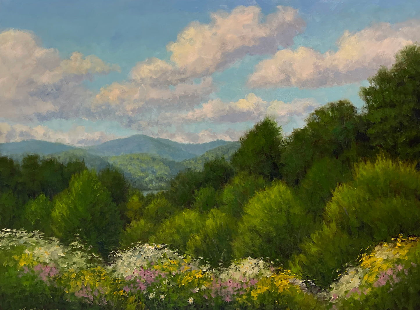 Daisies and Echinacea