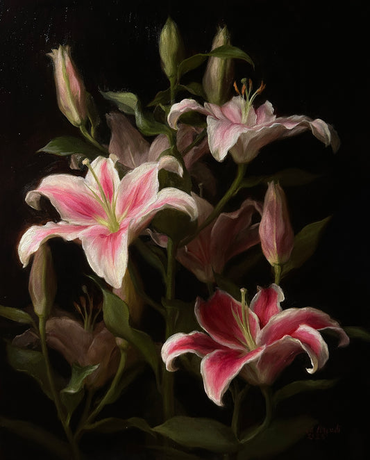 Stargazers