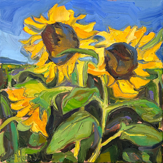 Sunflowers in Field
