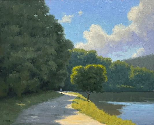 Sunlit Stroll