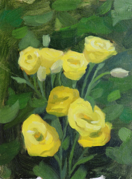 Yellow Flowers Study