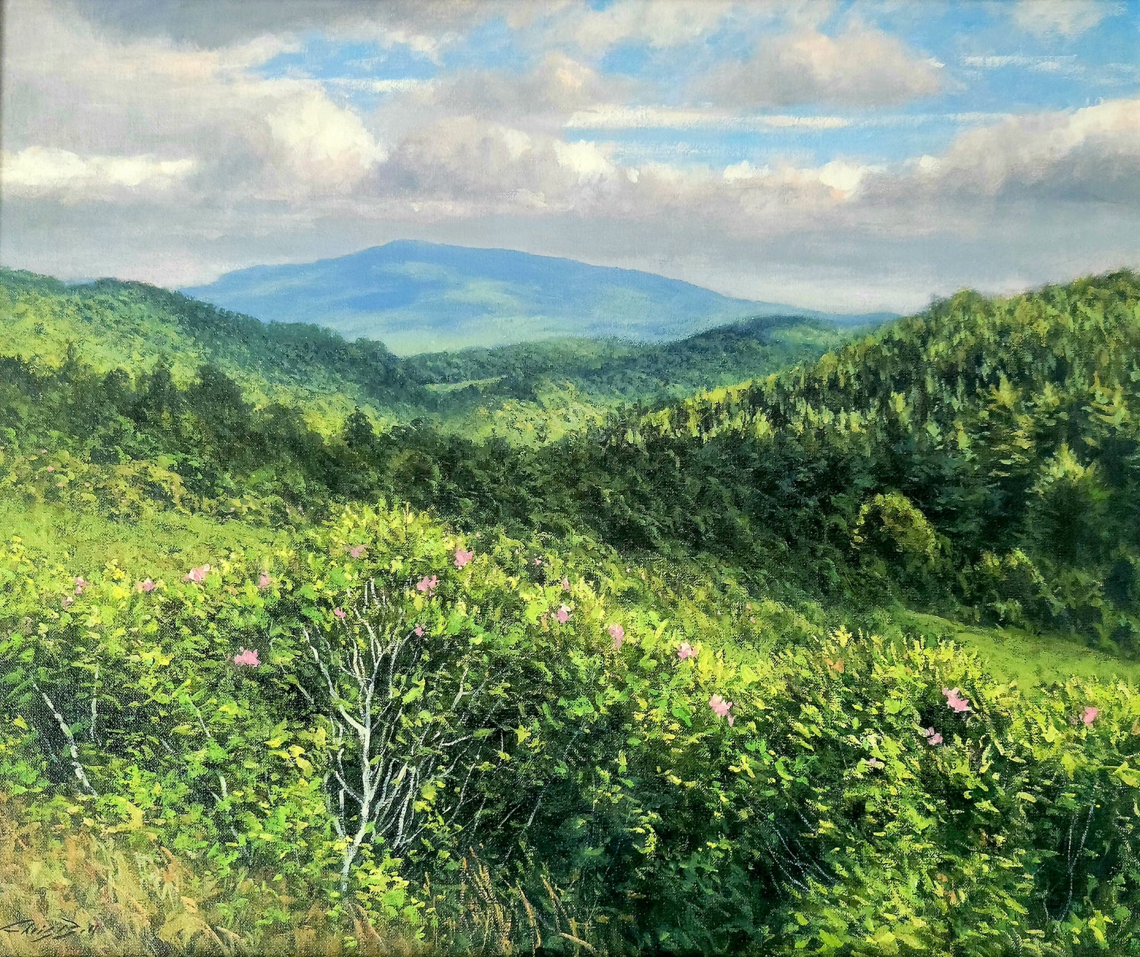 Blue Ridge Mountain Series Martin House Gallery