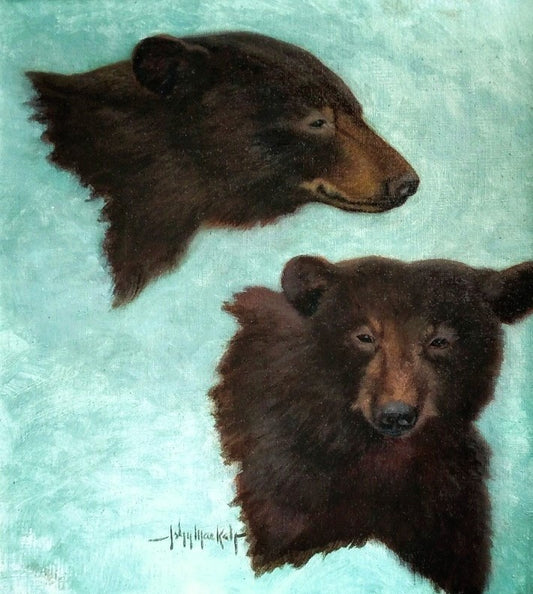 2 Bears, Study