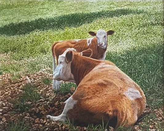 American Dairy II